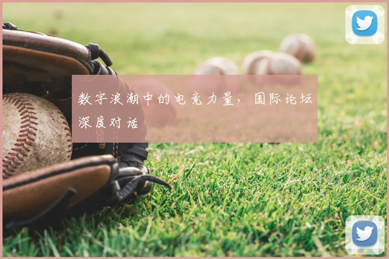 数字浪潮中的电竞力量,国际论坛深度对话