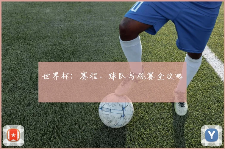 世界杯：赛程、球队与观赛全攻略