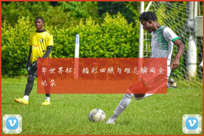 年世界杯：精彩回顾与难忘瞬间全记录
